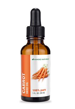 carrot seed oil