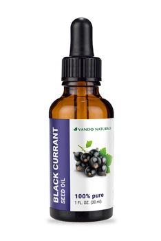 black currant seed oil