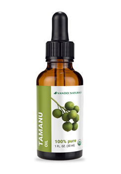 tamanu oil